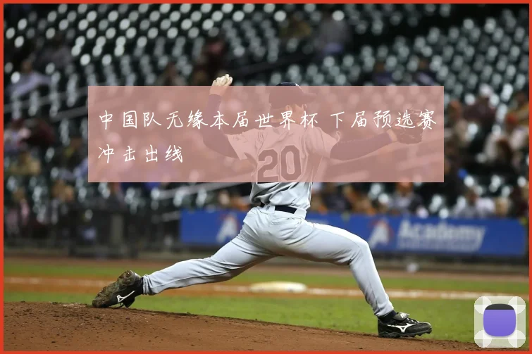 中国队无缘本届世界杯 下届预选赛冲击出线
