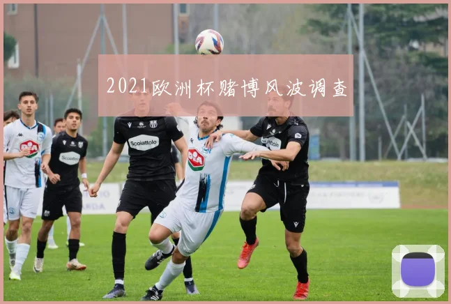 2021欧洲杯赌博风波调查